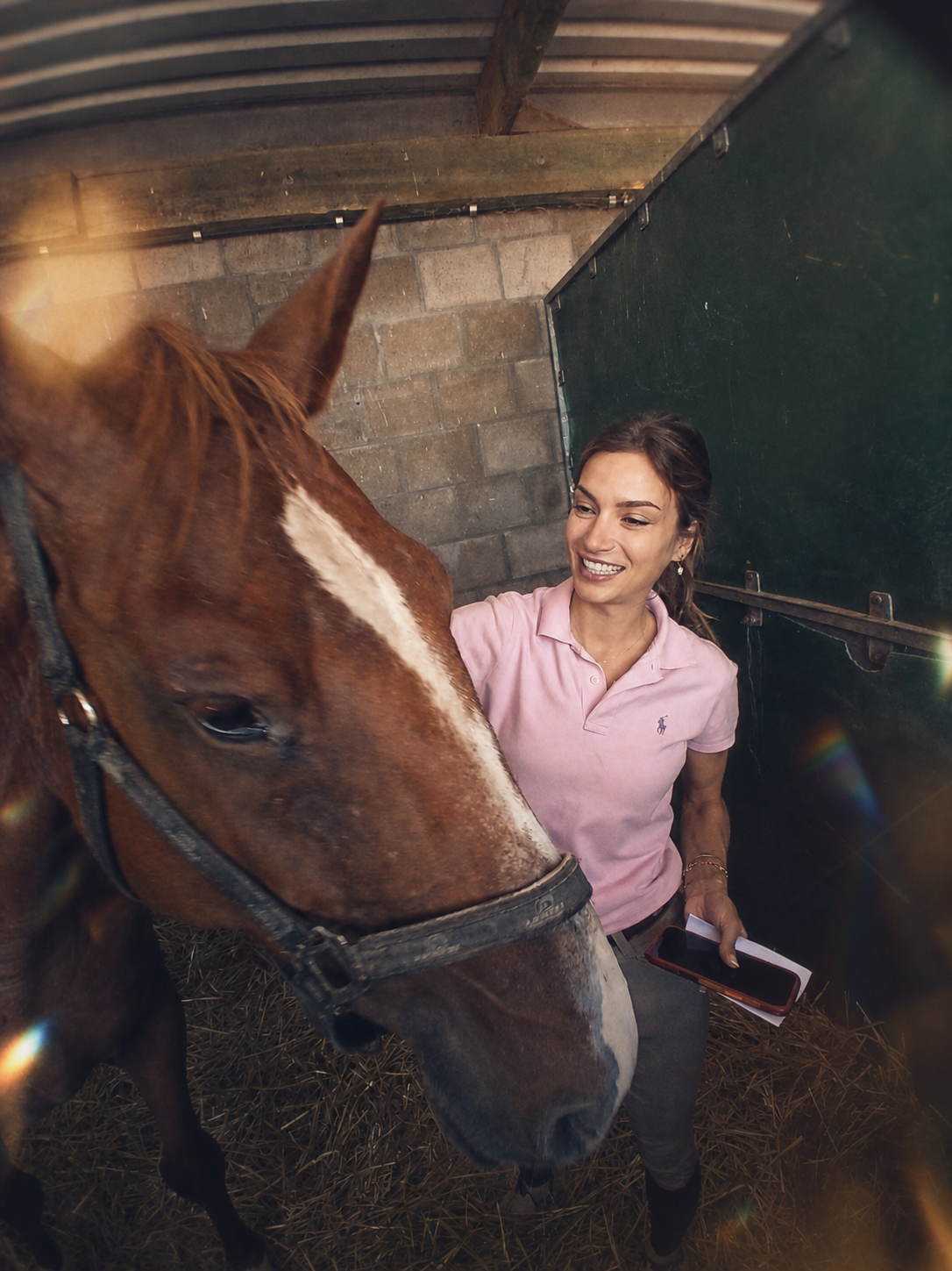 Vrouw met paard in de stal